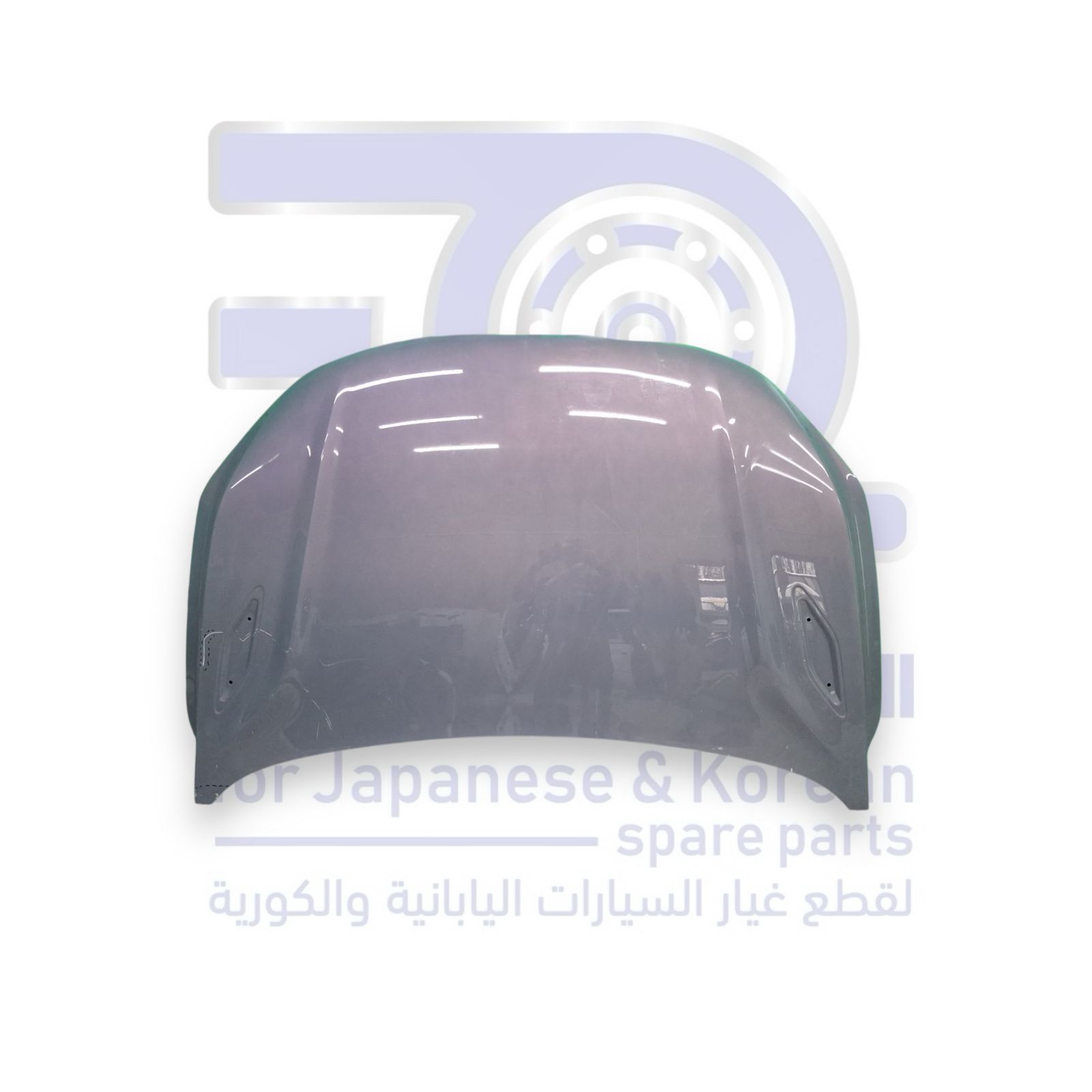 كبوت جيلي كولراي من 2024 الى 2026
