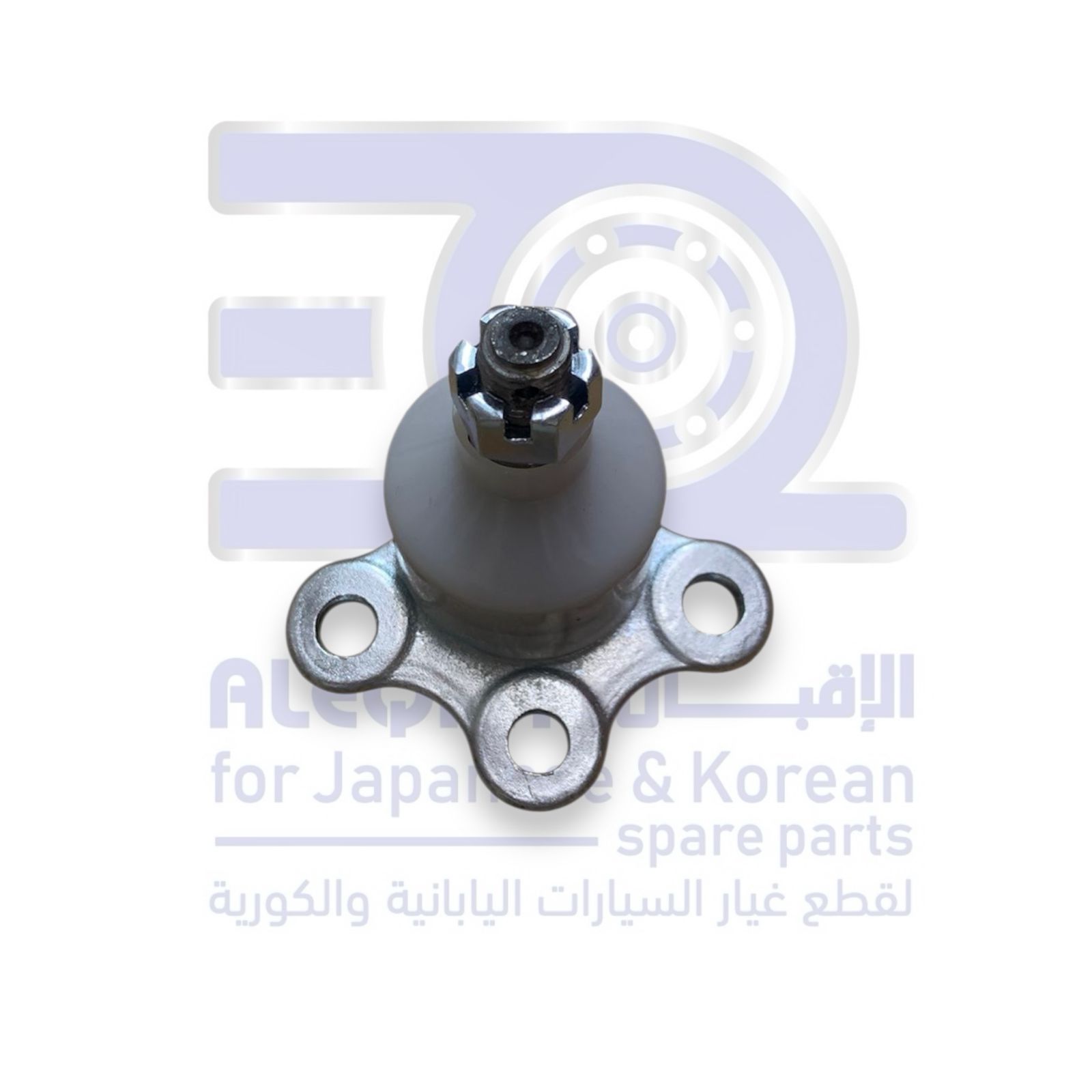 ركبة فوق جريت وول وينجل 7 من 2019 الى 2026